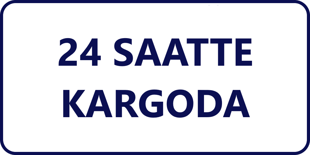24 Saatte Kargo.png (29 KB)